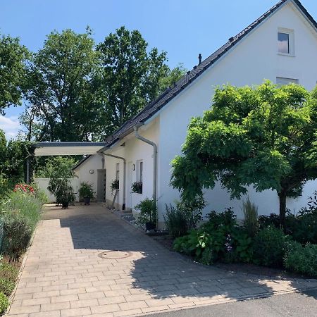 Ferienwohnung Schmitt 佩格尼茨河畔劳夫 外观 照片